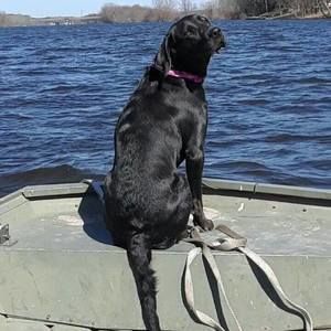 Meet your Posher, Traci